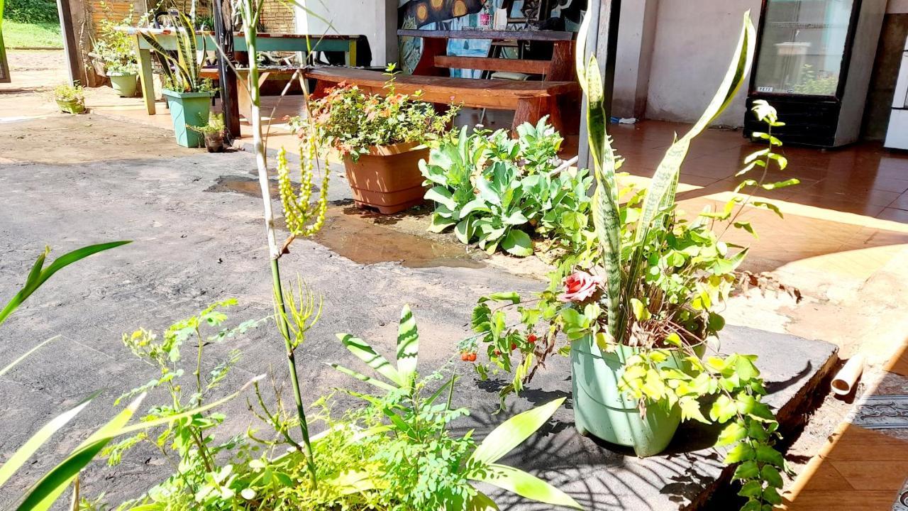 Hostal Sol Iguazu Puerto Iguazú Dış mekan fotoğraf