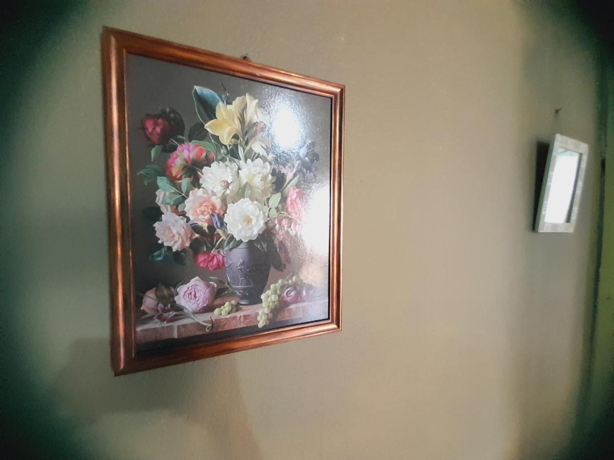 Hostal Sol Iguazu Puerto Iguazú Dış mekan fotoğraf